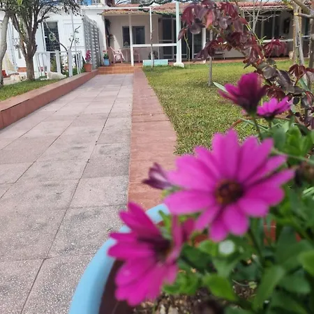 Roni's Place * Nea Kallikrateia