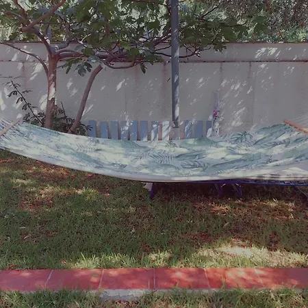 Roni's Place بيت ضيافة *