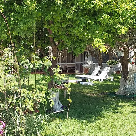 Roni's Place * Nea Kallikrateia