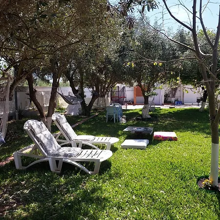 Roni's Place *