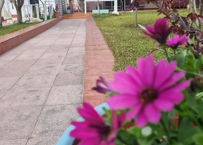 Roni's Place * Nea Kallikrateia