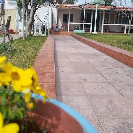 Roni's Place Гостевой дом