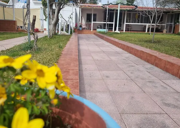 Roni's Place בית הארחה